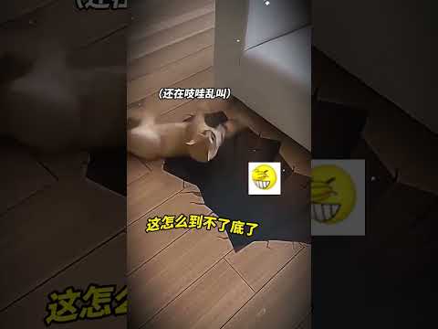 9条命吓没了10条！！