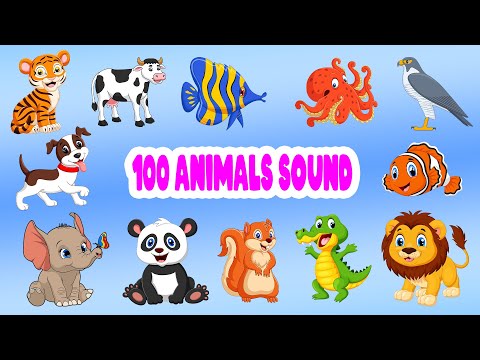 100 Animals Name | 100 Animals Flashcards | Kids Learning Animals