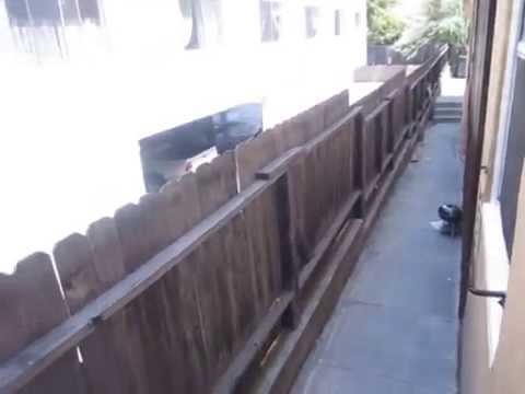 PL2116 - Gorgeous 1+1 Art-Deco Apartment For Rent in Koreatown