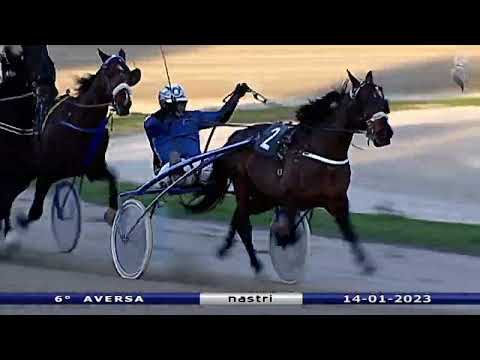 Aversa trotto 14 Gennaio 2023 - 6° Corsa