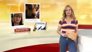 Bravecto -  pures GIFT für den Hund