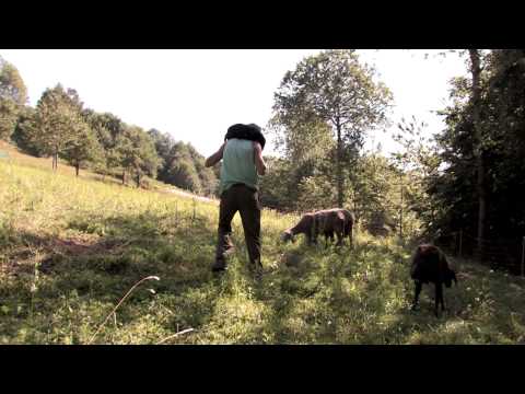 CRONACA DI UNA VITA SEMPLICE, film documentario di Fabio GIANOTTI e Silvia BONGIOVANNI (Trailer)