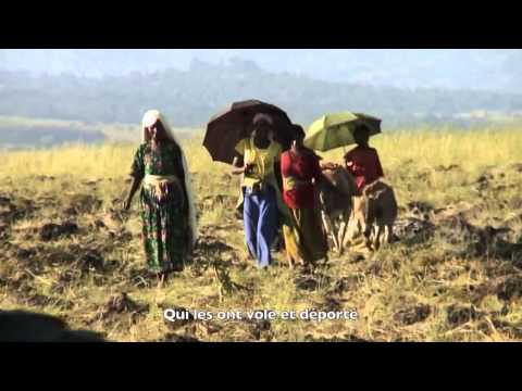 Nouvelle Colonisation - Kolibri (Land grabbing, accaparement des terres)