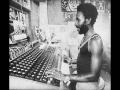 Lee "Scratch" Perry - Jungle Roots Dub!!