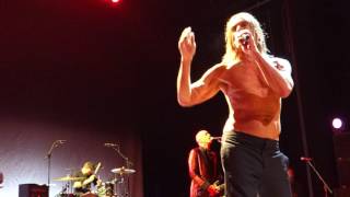 Iggy Pop - Chocolate Drops / Paraguay / Here comes success  - Stockholm 2016