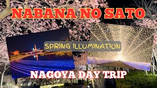 JAPAN 2024: Nabana No Sato: Visitor's Guide and Tips | doc jean's travels