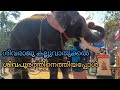 Shivapooram 2023 കല്ലുവാതുക്കൽ ശിവപൂരത്തിന് തൃ
