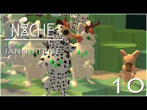 A Last Minute Surprise in the Nest!! • Niche: Jannu Tribe - Episode #10
