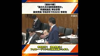 【国会中継】「誰のための副首都構想か」参議院議員 神谷宗幣 国会質疑 令和8年7月22日 参政党 2/7