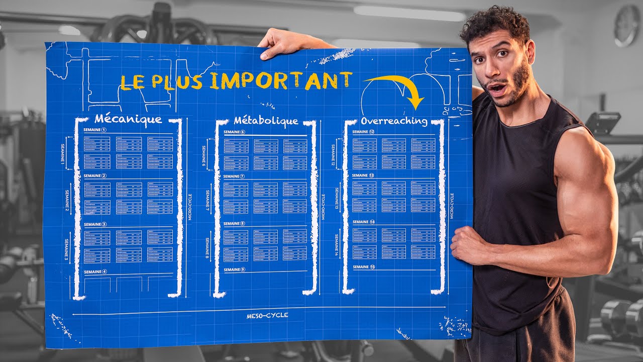Comment créer son programme de musculation (débutants)