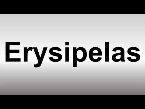 How to Pronounce Erysipelas