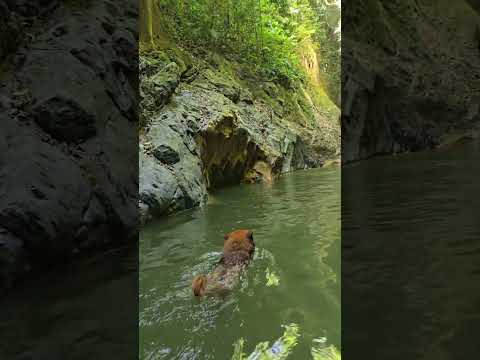las aguas cristalinas del Cañón de los Alférez, entre San Benito y La Aguada Santander