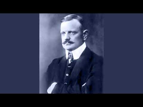 Kammerphilharmonie Amadé • Jean Sibelius • Impromptu for strings op 5