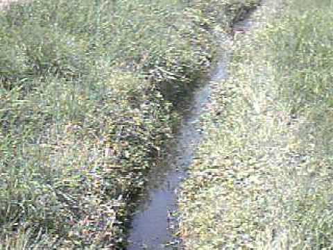 Eros Juni 06 - Badevergnügen