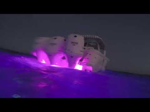SeaBlazeX2 Underwater Lights