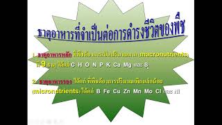 Kru..DADA ..การลำเลียงของพืช EP.03