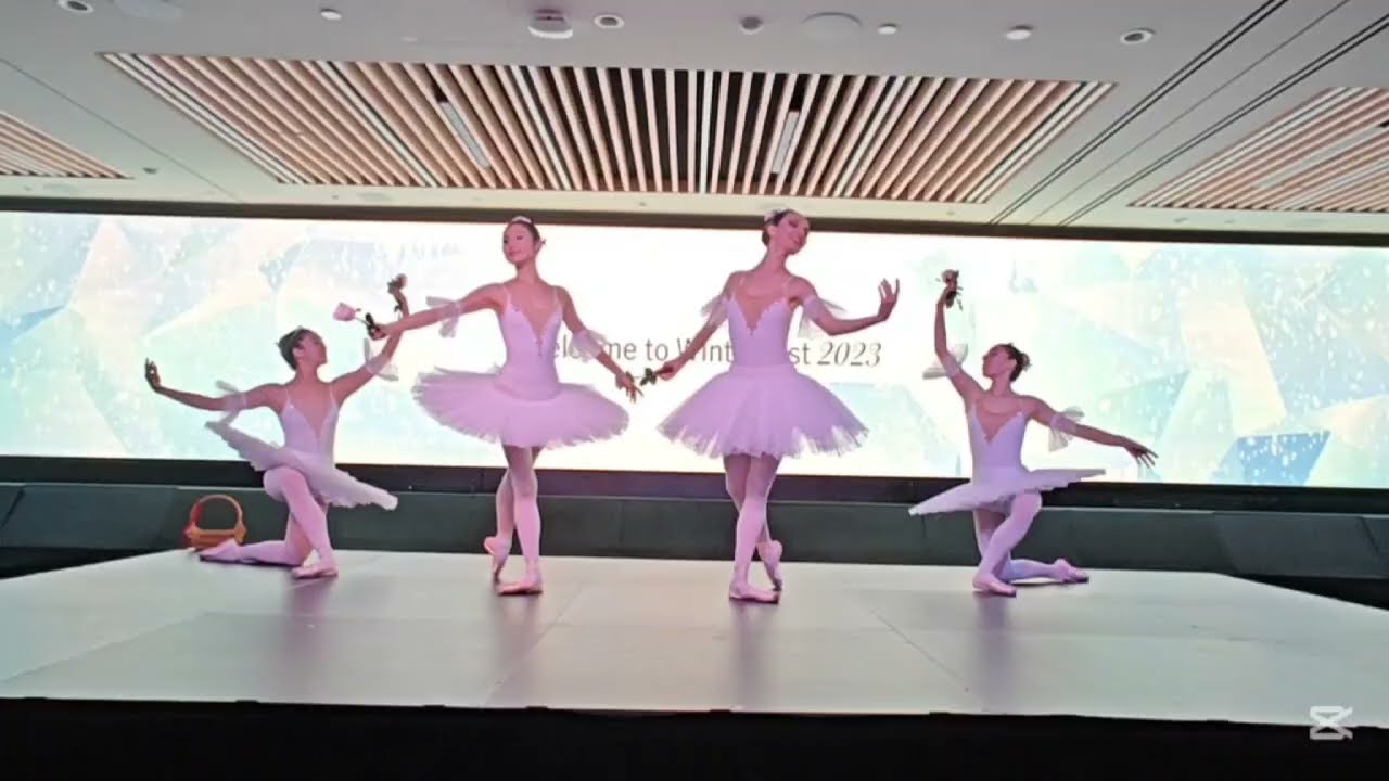 Promotional video thumbnail 4 for Ballet Reveries