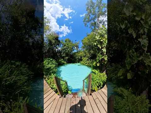 You Float Without Touching the Bottom 🌀 Jalapão, Brazil | Fervedouro Beija Flor