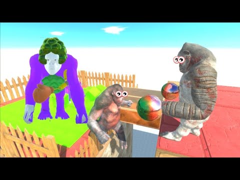 SUPER KNOCKOUT OF GORO BOXER IN ACID WITH JOKER GORO + BONUS -   ARBS