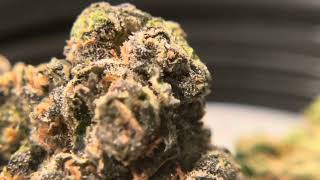 Good day farm, Missouri dispensary, egg, roll,x grape gas flower