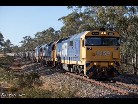 8159, 8137 and 8146 crest Gooseberry Hill on 7936V up Birchip grain- 14/9/20