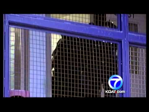 Drug dog leads jail shakedown