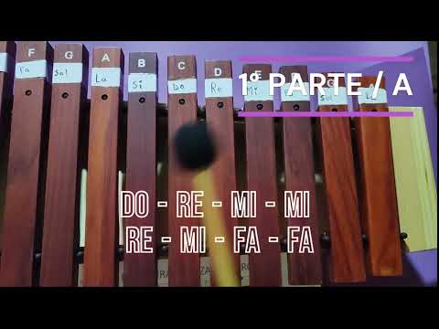 CLASE DE MÚSICA, DANZA DE HERCULES XILÓFONO