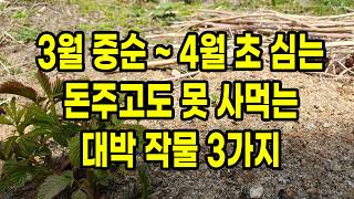 3월 중순 ~ 4월 초 심는 50대 이상 위장, 관절, 뇌혈관 살려줄 대박 작물 3가지