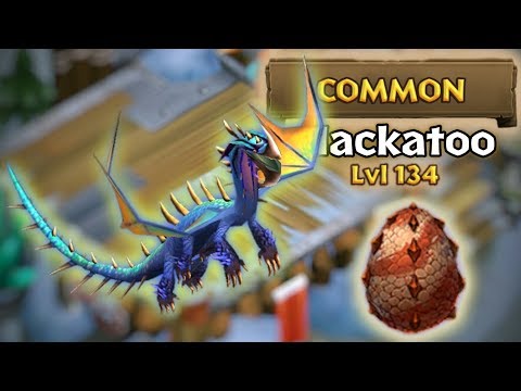 Hackatoo Max Level 134 Titan Mode | Dragons: Rise of Berk