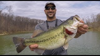 New 2019 Personal Best Spinnerbait Pig!!! (Pre-Spawn Bass Fishing)