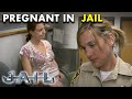 Las Vegas Jail: Pregnant Behind Bars | JAIL TV Show