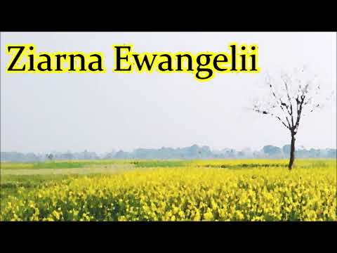 Ziarna Ewangelii - Mirosław Kulec (Kazanie)