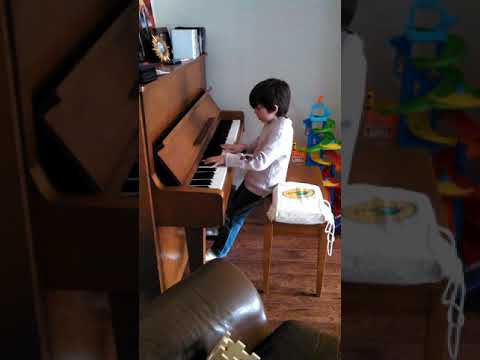 Galloping Stallion - Lincoln Moucha - Age 7 - Fun!