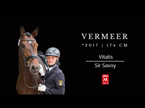 VERMEER *2017 v. Vitalis - Sir Savoy