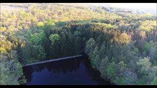 Frankie Cosmos - Young