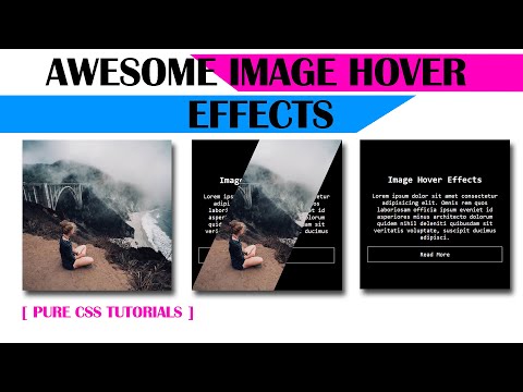 Css Clip Path Hover Effect Css Image Hover Effects Html Css3