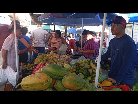 NA FEIRA LIVRE DE LIMOEIRO PERNAMBUCO 13 DE JUNHO DE 2026