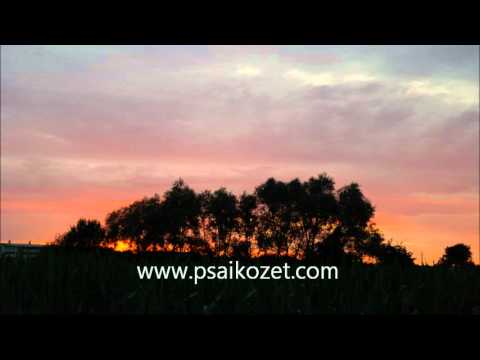 Psaikozet - No. 059 - www.psaikozet.com