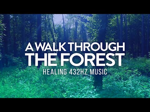 A Walk Through the Forest | 432Hz Ambient Music for Stress Relief & Mindfulness