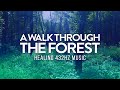 A Walk Through the Forest | Healing 432Hz Ambient Music to Connect with Nature | Forest Sounds