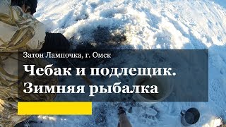 На что клюет чебак и подлещики