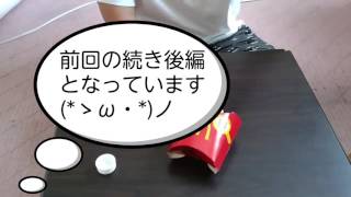 恭一郎さんが絶賛していた月見バーガーと月見チーズバーガーどっちが本当にうまいのか検証してみた〔後編〕