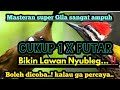 JARANG ADA ️MASTERAN Cililin Sambung Pelatuk DURASI PANJANG SUARA JERNIH Bikin Lawan Nyubleg
