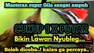 Download lagu JARANG ADA ‼️MASTERAN Cililin sambung pelatuk DURASI PANJANG SUARA JERNIH...bikin lawan nyubleg.. mp3