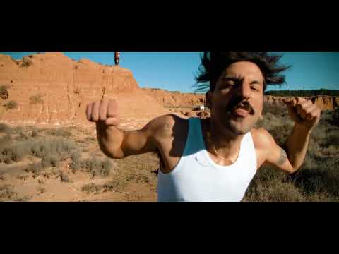 SEXY ZEBRAS - Amanecer Galáctico