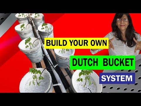 Dutch Bucket System.How to build a Dutch Bucket Hydroponic System