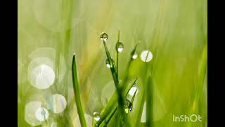 Download lagu NEW SAKHA - Ibu | 1 Hour Version mp3 Download lagu NEW SAKHA - Ibu | 1 Hour Version mp3