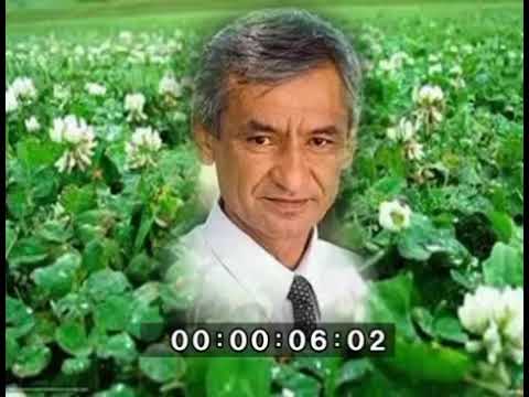 Muhammad Yusuf oxirgi she'ri!!