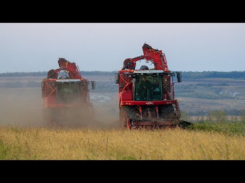 , title : 'Rübenernte XXL: 24h Ernte mit Grimme bei einer 800.000ha Agrarholding'