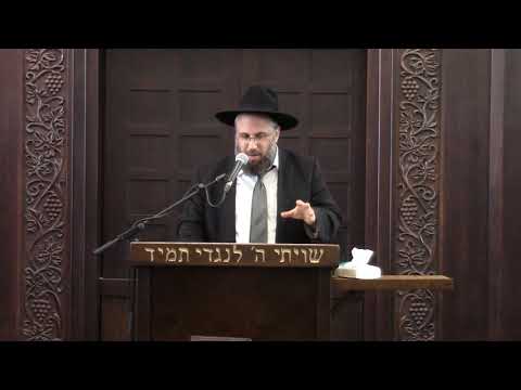 Levaya of Rav Malinowitz ztl part 2